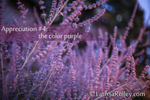 Appreciation #4: the color purple