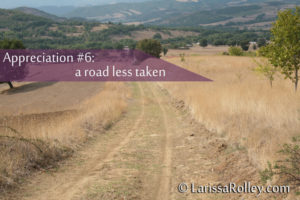 Appreciation #6: a road less taken 