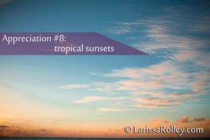 Appreciation #8: tropical sunsets