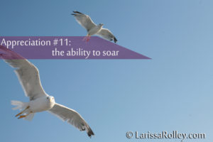 Appreciation #11: the ability to soar