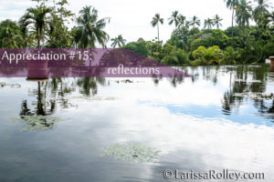 Appreciation #15: reflections 