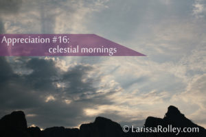Appreciation #16: celestial mornings