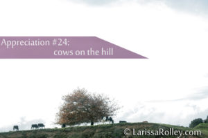 Appreciation #24: cows on the hill 