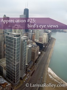 Appreciation #25: bird's eye views 