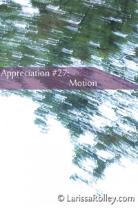 Appreciation #27: motion 