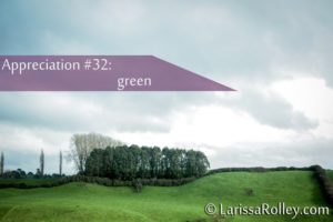 Appreciation #32: green
