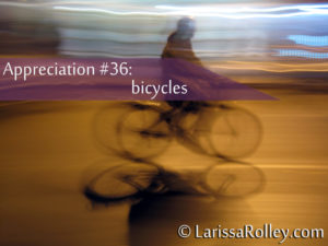 Appreciation #36: bicycles 