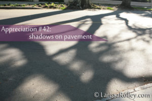 Appreciation #42: shadows on pavement 
