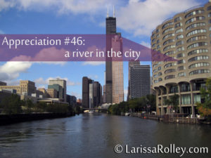 Appreciation #46: a river in the city 