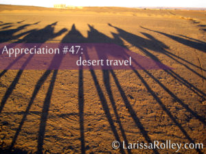 Appreciation #47: desert travel 