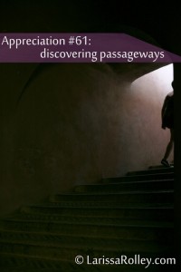 Appreciation #61: discovering passageways 