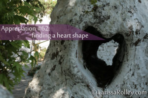 Appreciation #62: finding a heart shape 