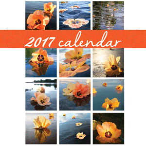 Hibiscus Calendar 2017